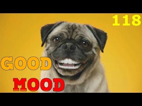 GOOD MOOD #118