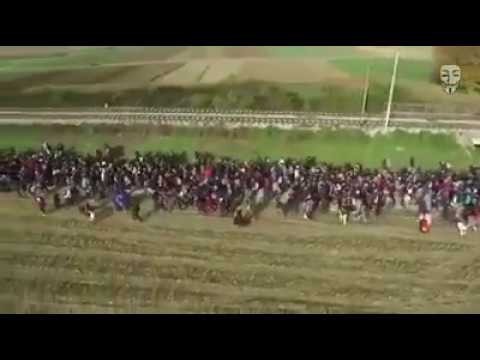Zalew UE przez imigrantow