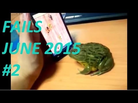 Fails June 2015 #2