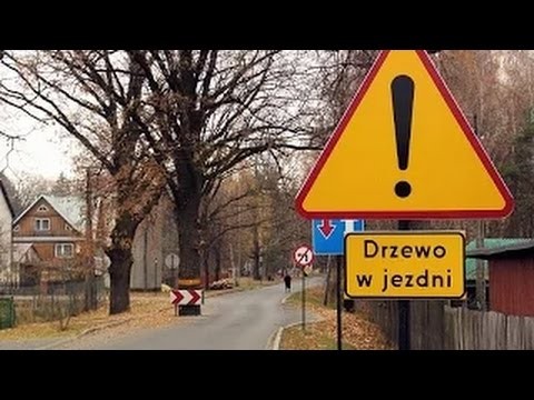 Polskie drogi