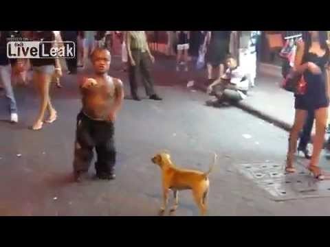 Pies molestuje ulicznego tancerza